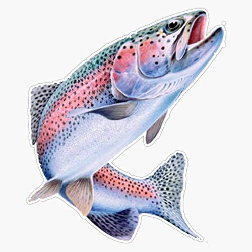 Rainbow Trout Fish Vinil Adesivo à prova d'água Decal