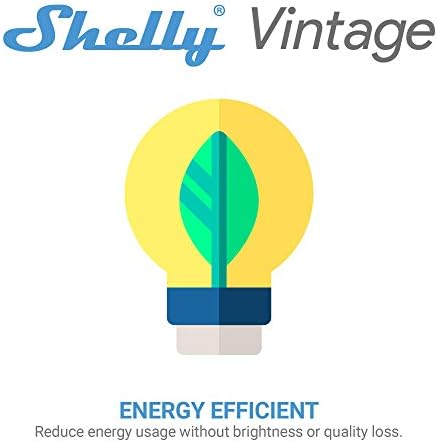 Shelly Bulb A19, Smart Dimmable, Wi -Fi habilitado, design vintage, compatível com Android, iOS, Alexa e Google