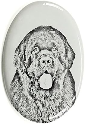 Terra Nova, lápide oval de azulejo de cerâmica com uma imagem de um cachorro