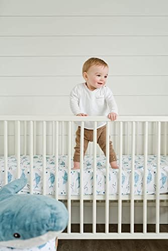 Pacote de Produtos Addison Belle - Folha de berço algodão + Swaddle de musselina - tubarões - macio, durável e respirável