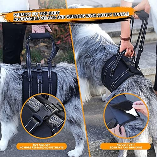 Voopet Portable Dog Lift Churness para as pernas traseiras, atualizar a esteira de cães suporta confortavelmente as pernas traseiras, arnês de suporte do quadril para ajudar a levantar a retaguar