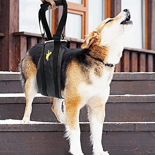 Heobam Dog portátil Lift Suporte Sling/Cães Velhos/Reabilitação Assistida As pernas traseiras Ajuda a caminhar/ajudar a aliviar