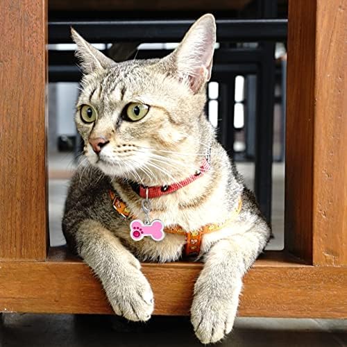 Tags de identificação de animais de estimação personalizados natiformes, etiquetas de gatos personalizadas, gravadas no lado de