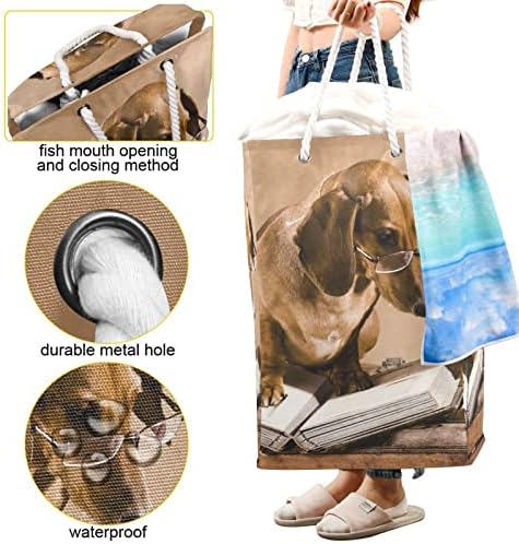 Poeticcity Brown Dachshund Dog com óculos de sol Livros de cesta de armazenamento redondo, organizador de berçário com