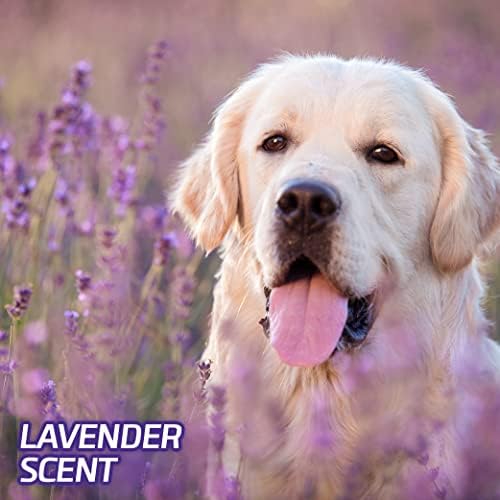 Hartz Protection Protection Lavender Scent Odor eliminando almofadas de cães, 3xl, 14ct