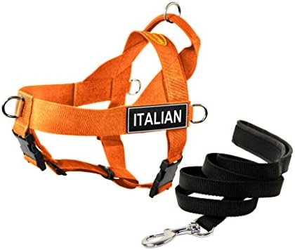 Dean e Tyler DT Universal No Pull Dog Harness com remendos italianos e trela de cachorro, laranja, grande