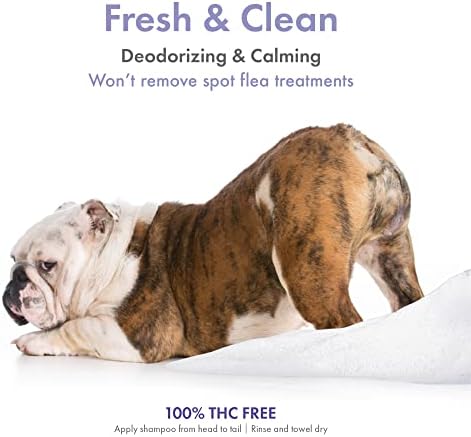 Petkin Hempe Shampoo e Condicionador para cães e gatos - com óleo de cânhamo e extrato de lavanda calmante, 16 fl