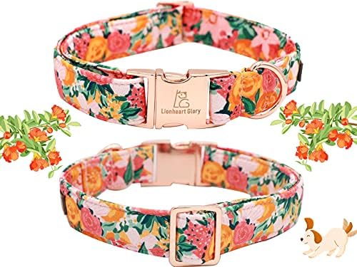 Glória Lionheart Glória Premium Floral Dog Collars, Golas de cães de gravata borboleta, colarinho de cães ajustável para cães com arco