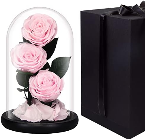 King Doo Mom Presente Preservado Real Pink Rose In Gift Box for Delivery Forever Enchanted Flower in Glass Dome para Presente para