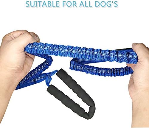 Lumtur Strong Dog Leash 4-6 pés coleira de cães pesados ​​com alça acolchoada confortável e fios altamente reflexivos com cinto