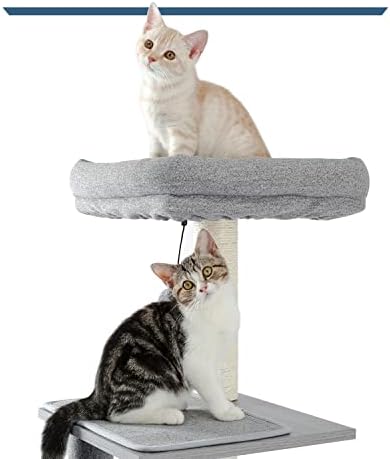 Mgwye Multi-Level Cat Tree Play House Centro de atividades do alpinista Tower Hammock Condomer Furniture Scratch Post