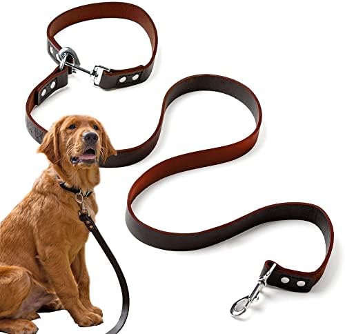 QuikClip - Coloque de cachorro de couro doggytether com alça de amarração de trava, couro de cães fortes e macios para