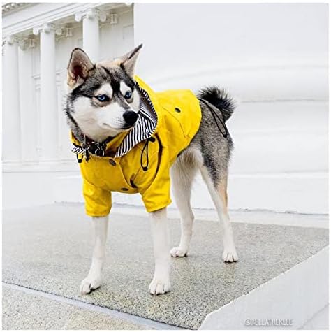Jaqueta de casaco para cães para animais de estimação para cães pequenos cães grandes gatos gatos de pet cão capuz cães de