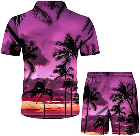 Conjunto impresso Casual Spring Beach Shorts abotoou o verão casual de manga masculina masculino masculino masculino rugindo