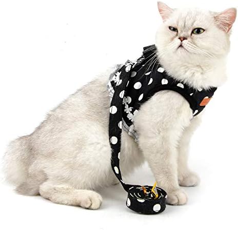 Ranphy Cat Harness and Leash para caminhar à prova de escape de bolinhas de gatinho chico