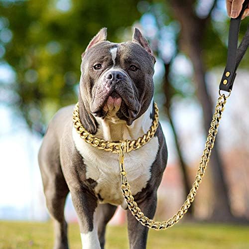 Didog Gold Dog Chain Collar, Metal Choke de 19mm de colar de 19 mm com fivela segura, link cubano de aço inoxidável 18k para cães grandes