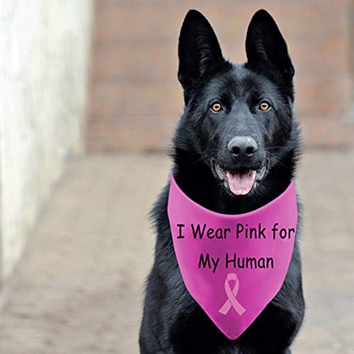Apoio a conscientização do câncer de mama Bandana, eu uso rosa para minha mãe, lenço de estimação, fita rosa Celebration