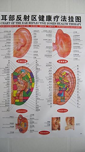 Acupuntura em inglês e chinês gráfico de ouvido 25 'x 18 à prova d'água