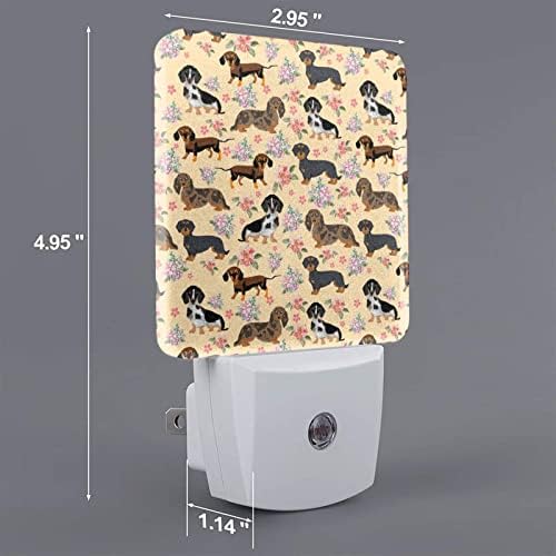 Majoug Dachshund Salsicing Dogs Pink Flowers Night Plug-in LED LED Nightlights Dusk-to-Dawn Sensor Lamp para quarto banheiro da