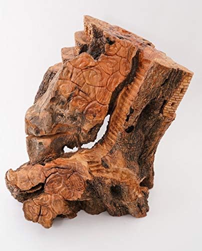 Conjunto de natividade de madeira de azeitona - Caverna grande
