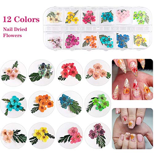 48 cores Flores secas Butterfly Glitter Butterfly+Kit de unhas de gel