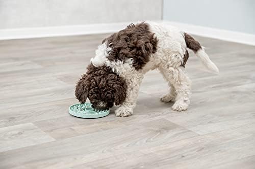 Trixie Junior lamber tapete, alimentador lento para animais de estimação, para cães e gatos, hortelã