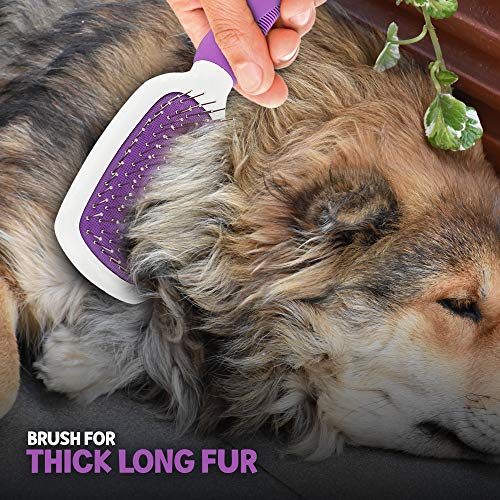 Escova de preparação de aço inoxidável para cães - pincel gentil com alça de borracha e gancho
