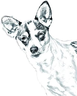 Rat Terrier, lápide oval de azulejo de cerâmica com a imagem de um cachorro