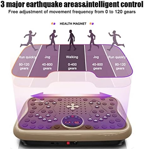 Riejin Plate Vibration Plate Máquina de Exercício de Corpo Inteiro Com Touch Screen LED MASSAGEM TRANTRADOR DE VIBRAÇÃO DO TREINADOR