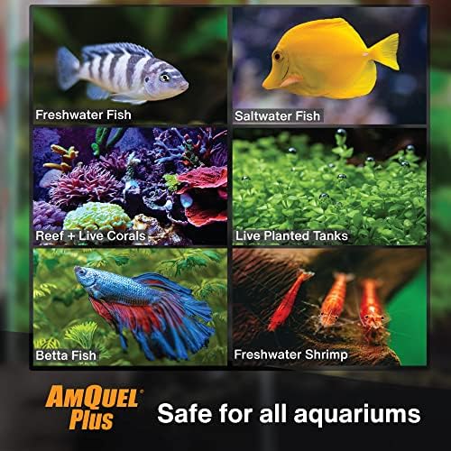 Kordon 33444 Amquel Plus para aquário, 4 onças