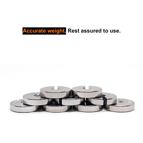 Labs Slotted Weight Set com cabide e estojo 10 pesos incluem 9pcs 10g + gancho peso 10g Total 100g