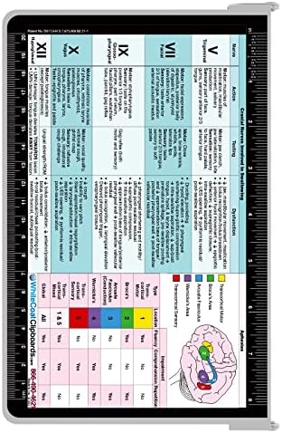 WHITECOAT CLIPBOARD® - Edição de Patologia de Speech -Language White