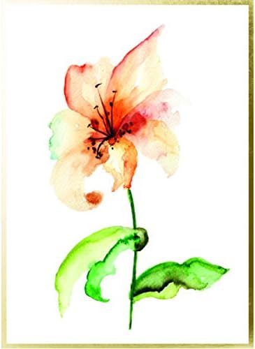 Flores de flores de graphique aquarela Cartões de felicitações | 20 pacote | Todas as ocasiões em branco cartões com envelopes