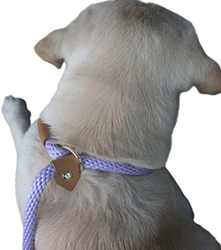Lucpawz Pet Slip Lead Dog Leash, fácil de usar corda de corda de corda 6 pés, chumbo de cachorro e colarinho para todas as raças