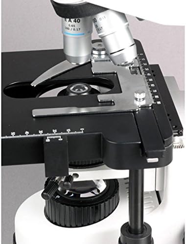 AMSCOPE B690A Microscópio de composto binocular de Siedentopf, ampliação 40x-1500x, oculares super largues de Wh10x