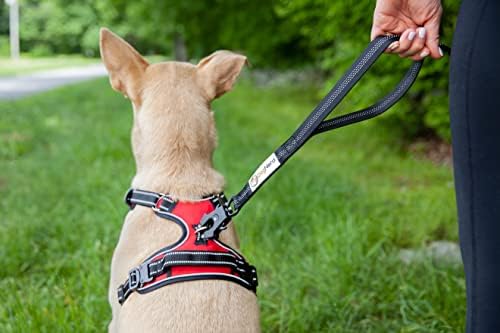 DOGNERD 6 'Bungee Dog Leash para cães médios a grandes - Double Handle Dog Leash com um grampo de sapo rápido - Acessórios para