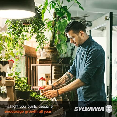 Sylvania Spot -Gro 65W Lâmpada de cultivo, lâmpada refletor incandescente de BR30, 120 volts, fosco, branco macio - 1 pacote