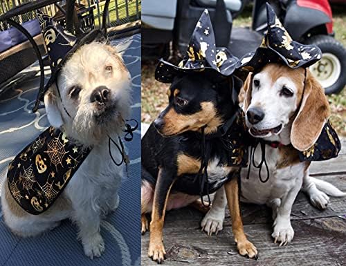 Gardaner Pet Halloween Trajes Cabo com Hatard Hat Dog Cat Halloween Aparels