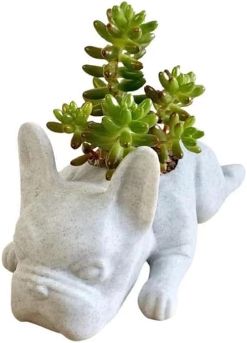 Nuozhuo French Bulldog Shape Resina Suculenta Plantador Plants Bonsai para Planta para Home Garden Decoração de Desktop
