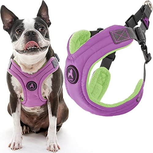 GOOBY ESCAPE LIVRO DE MEMÓRIA LIVRE MEMÓRIA FOON - roxo, médio - sem puxar o arnês de cachorro pequeno com ajuste de quatro pontos - perfeito no chicote de cachorro para cães médios sem puxar e cães pequenos