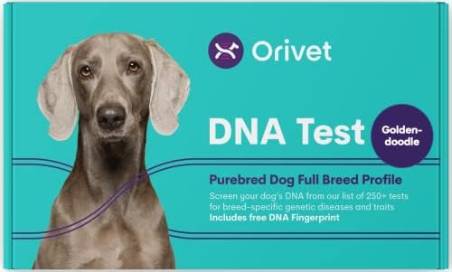 Kit de teste de DNA de cães Orivet - Perfil de raça completa de Goldendoodle | Testes de filhotes contra 250 riscos e características