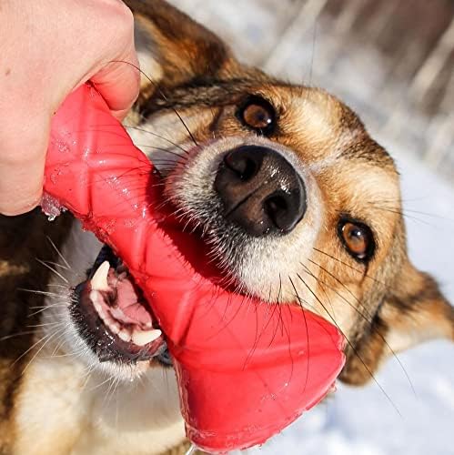 Dumbbell Dog Fetch Toy - Brinquedo de cachorro de barra ao ar livre para cães de raça pequena, média e grande - Toy Flutuating Dog