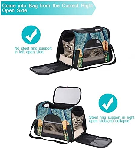 Pet Transportrier Art Floral Soff-sidel-sideal Travel Travels for Cats, Dogs Puppy Comfort Portable Pet Dobrable Pet Saco