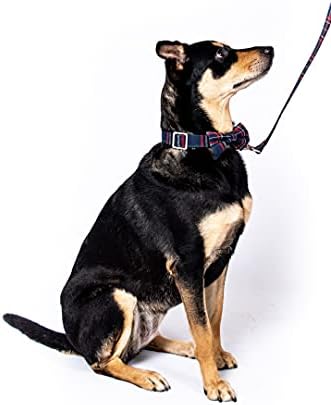 Colarinho de cachorro e coleira escocete de tartan tartan com gravata borboleta destacável para cães de menino ou cães confortáveis
