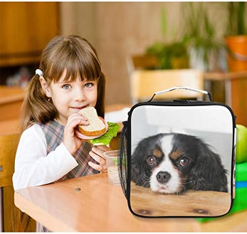 Cavalier King Charles Spaniel Dog Box Box Bolsa de Cooler School Reutilizável