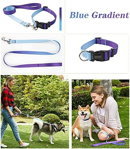 Kakkoii Dog -Collar e Leashé Definir Dog Leash Lastes de segurança Buckle nylon colares de animais de estimação Impressão de gradiente