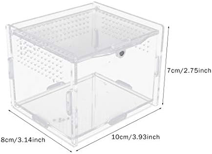 Caixa de alimentação de répteis acrílicos, gabinete de tarântula transparente da caixa de criação de terrário de réptil com 2 pinça