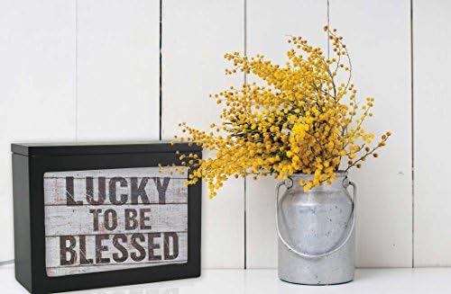 Jada Venia 9,75 x7.75 Lucky for Being Blesseded Photo Light Box Insert, 7,5 x 5,75, cinza