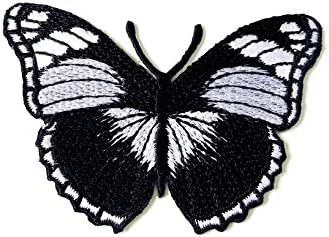 Th Butterfly Black Color Beautiful Ferre