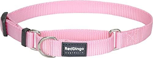 Red Dingo Martingale Classic 20mm Choke Collar, verde, pequeno/médio